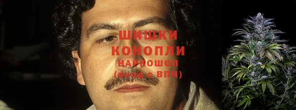 СК Белокуриха