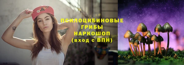 амф Беломорск