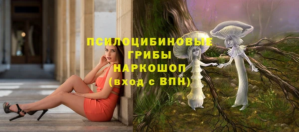 первитин Белоозёрский